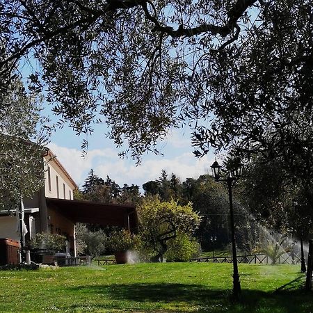 Agriturismo La Contea Senigallia Villa San Gaudenzio Exterior foto