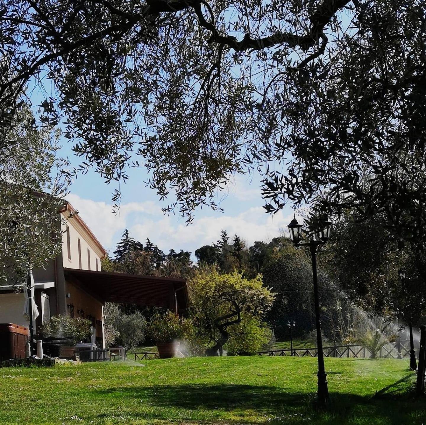Agriturismo La Contea Senigallia Villa San Gaudenzio Exterior foto